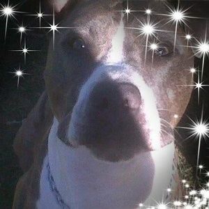 Meet your Posher, Dan